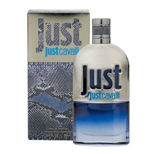 Roberto Cavalli Just Cavalli Him 90ml Edt SPR (M), 90 Milliliters :  : Beauty & Personal Care