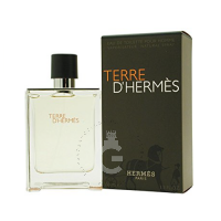 Hermes Terre D Hermes Eau De Toilette 100ml Spray